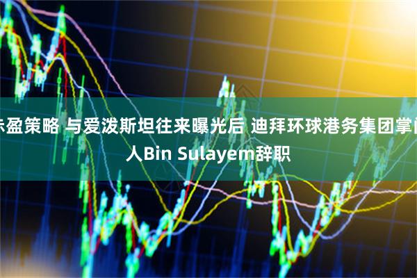 赤盈策略 与爱泼斯坦往来曝光后 迪拜环球港务集团掌门人Bin Sulayem辞职